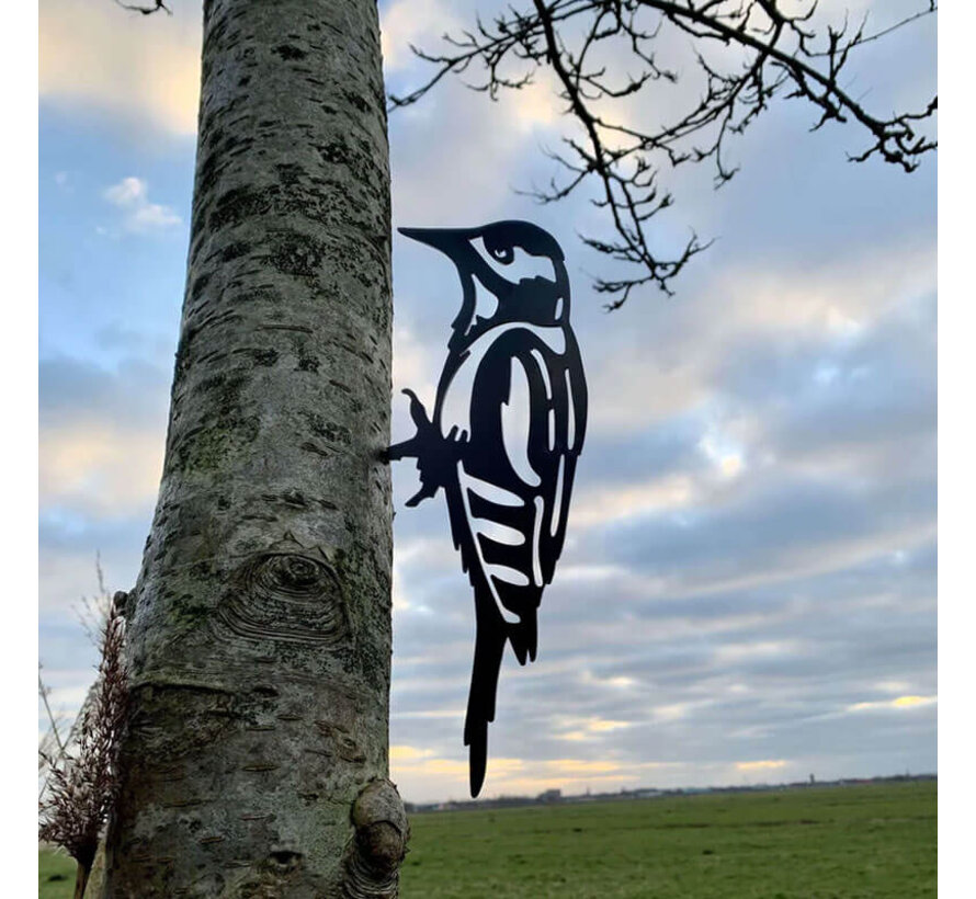 Metalen Vogel - Bonte Specht - Boomsteker - Cortenstaal