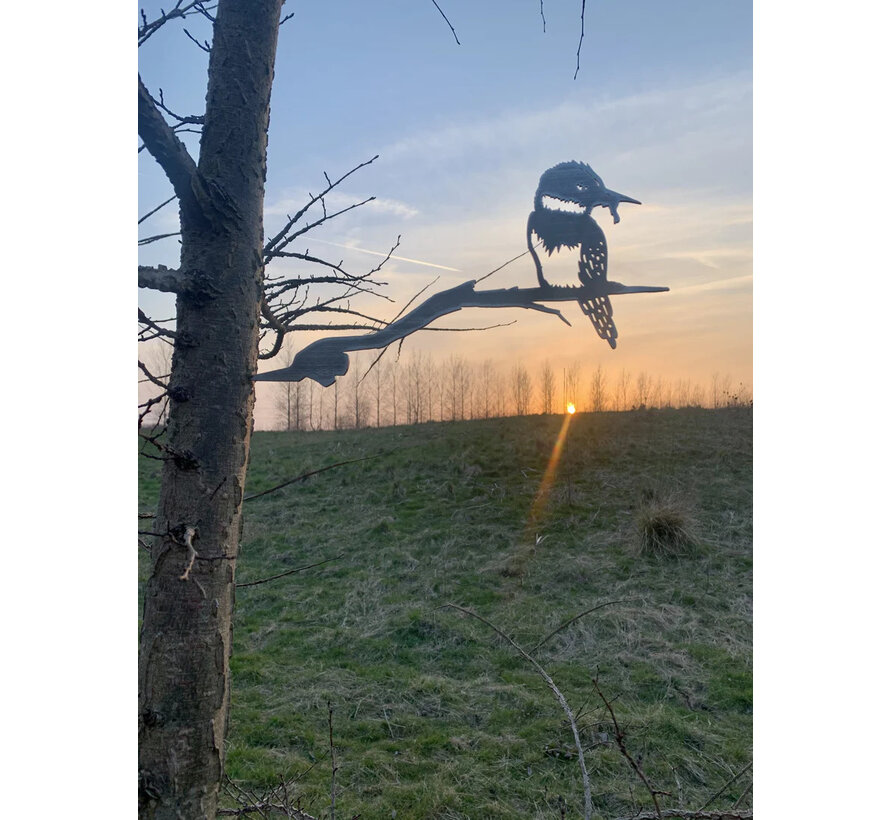 Metalen Vogel - IJsvogel - Boomsteker - Cortenstaal
