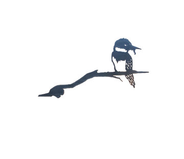 Metaalversiering Metalen Vogel - IJsvogel - Boomsteker - Cortenstaal