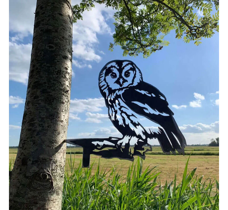 Metalen Vogel - Bosuil - Boomsteker - Cortenstaal