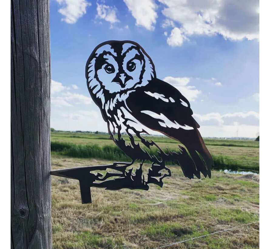 Metalen Vogel - Bosuil - Boomsteker - Cortenstaal