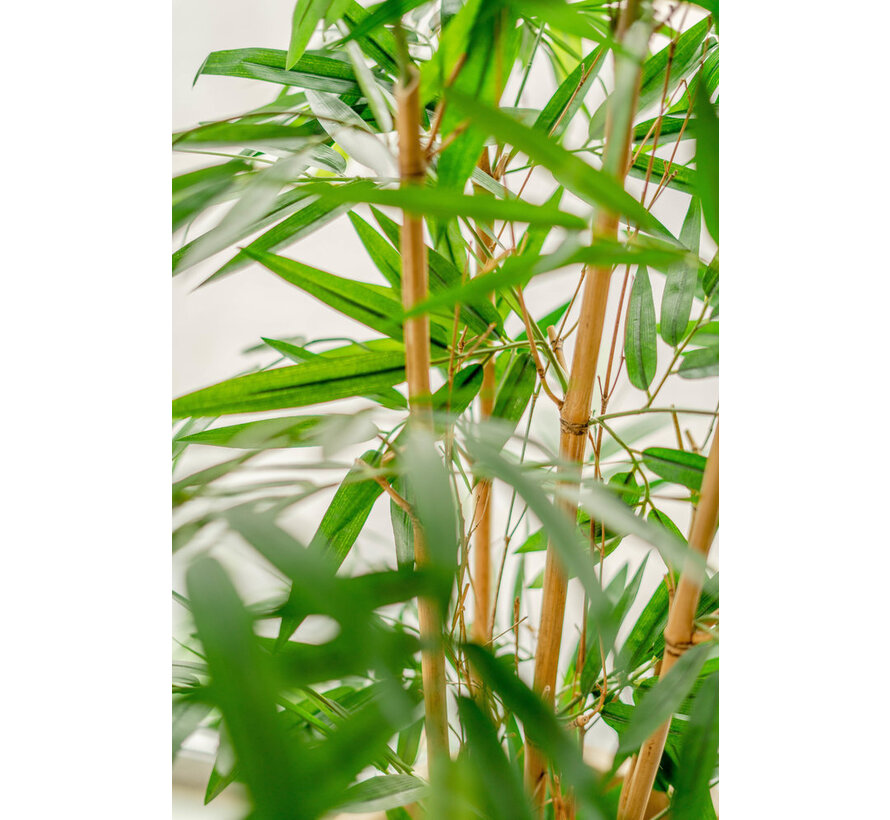 Kunstplant - Bamboe kunstboom - 120 cm