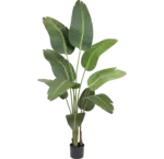 Categorie Kunstplanten