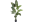Planten & kunstplanten