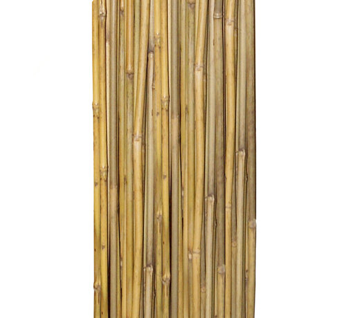 Meuwissen Agro Bamboestokken 60 cm - 10 stuks