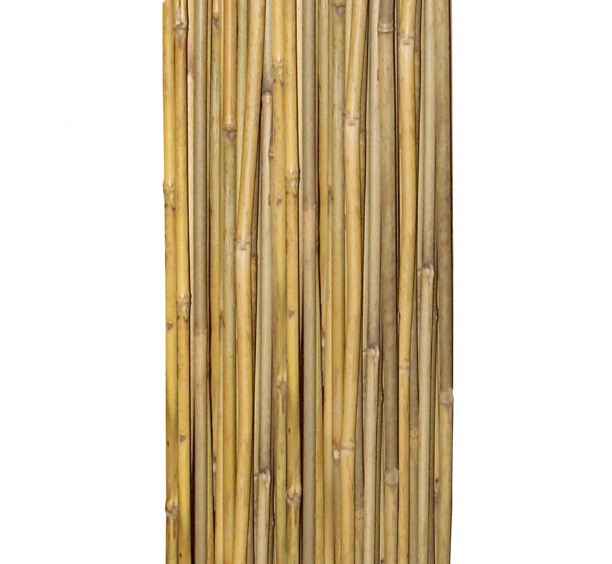 Bamboestokken 90 cm - 10 stuks