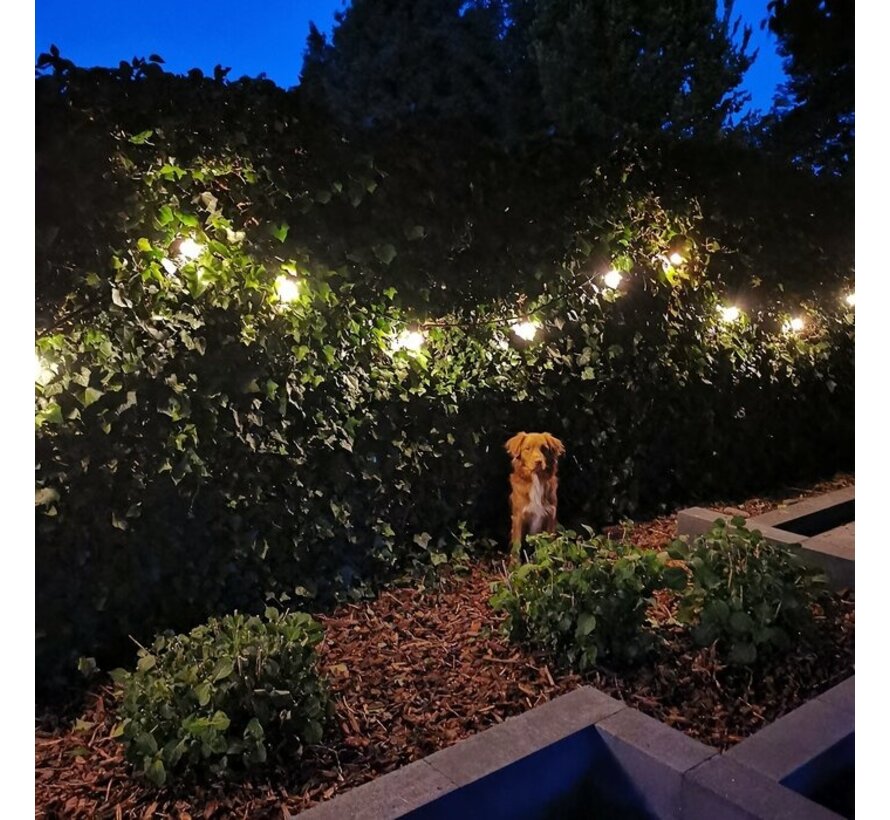 LED filament lamp - Prikkabel - Warm wit - 1 watt