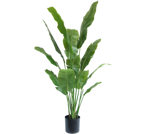 Greenmoods Kunstplant Strelitzia Nicolai - 165 cm