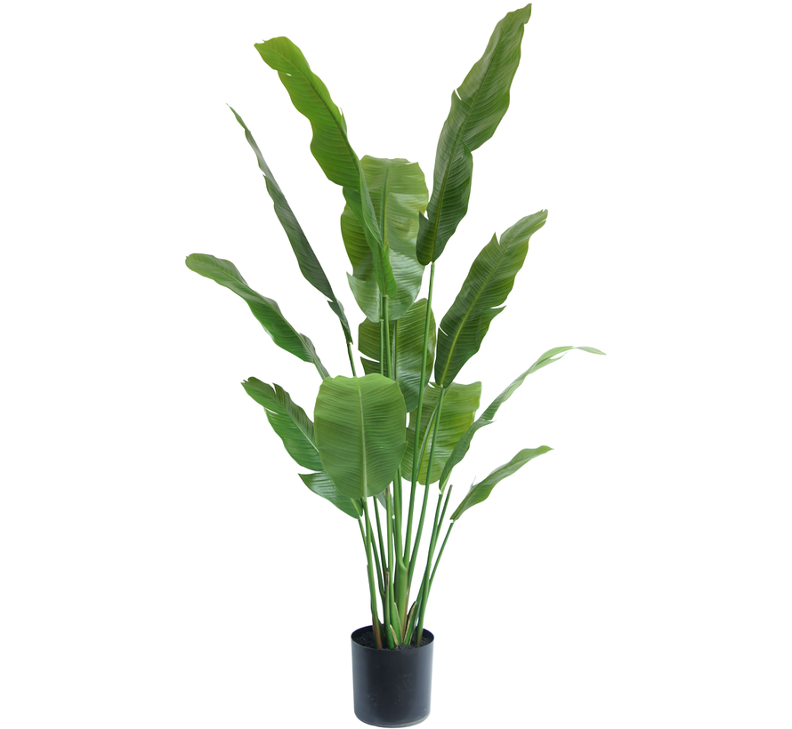 Kunstplant Strelitzia Nicolai - 165 cm