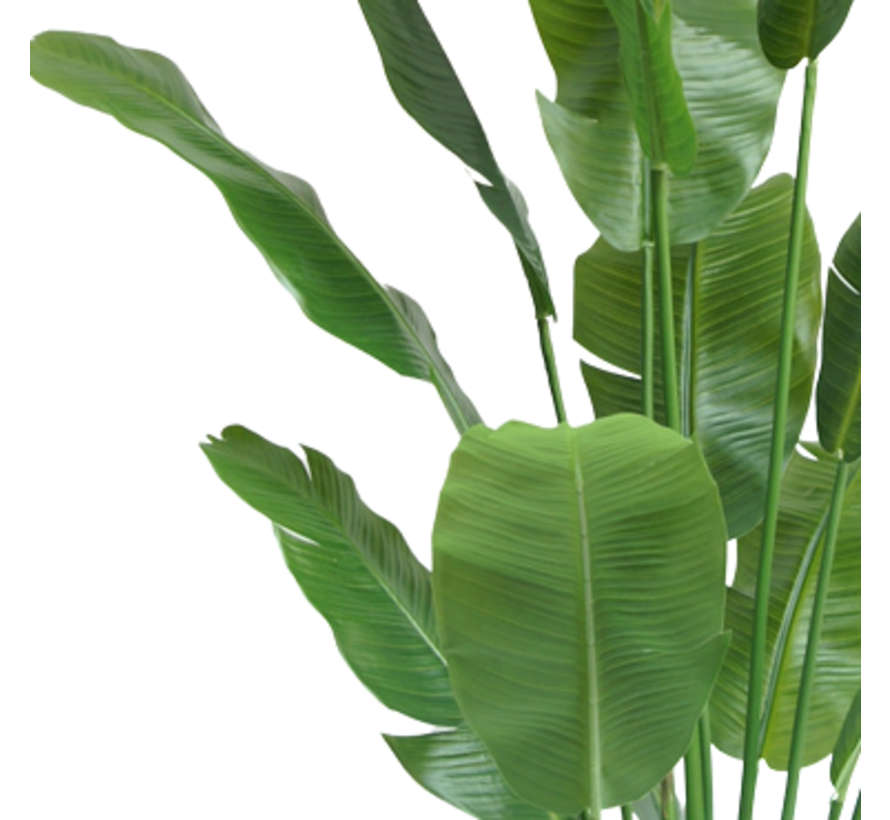 Kunstplant Strelitzia Nicolai - 165 cm