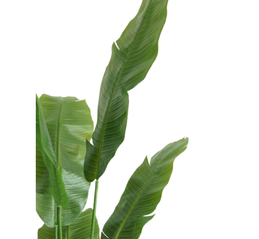 Kunstplant Strelitzia Nicolai - 165 cm
