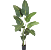 Greenmoods Kunstplant Strelitzia - 180 cm