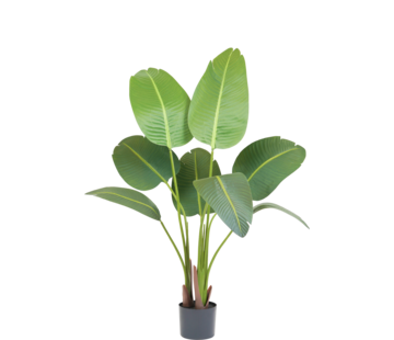Greenmoods Kunstplant Strelitzia Deluxe - 120 cm