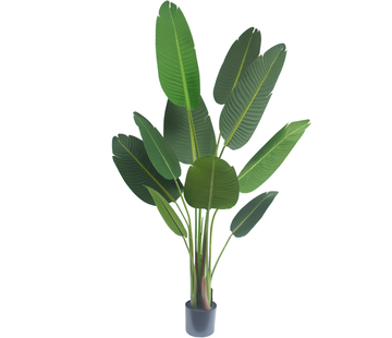 Greenmoods Kunstplant Strelitzia Deluxe - 160 cm