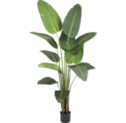 Greenmoods Kunstplant Strelitzia Deluxe - 210 cm