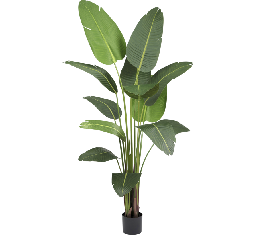 Kunstplant Strelitzia Deluxe - 210 cm