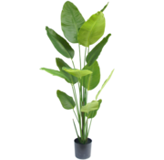 Greenmoods Kunstplant Strelitzia - 180 cm