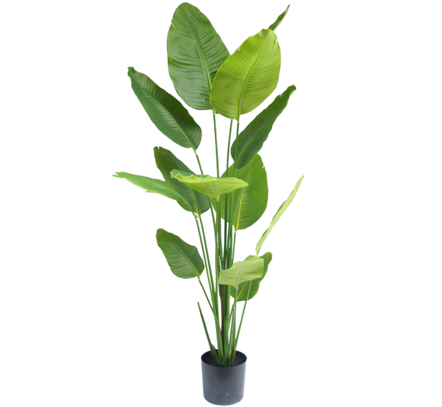 Kunstplant Strelitzia - 180 cm