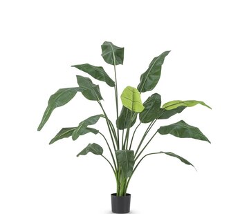 Greenmoods Kunstplant Strelitzia Deluxe - 180 cm