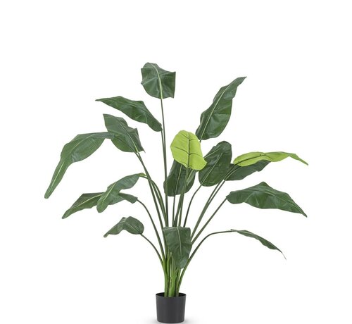 Greenmoods Kunstplant Strelitzia Deluxe - 180 cm