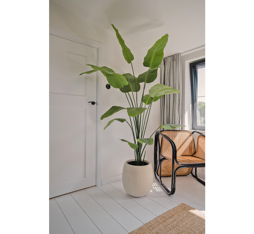 Kunstplant Strelitzia - 180 cm