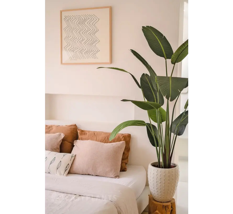 Kunstplant Strelitzia - 180 cm