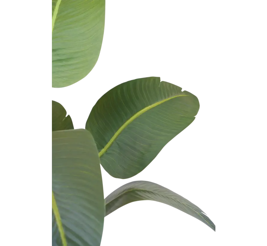 Kunstplant Strelitzia Deluxe - 210 cm