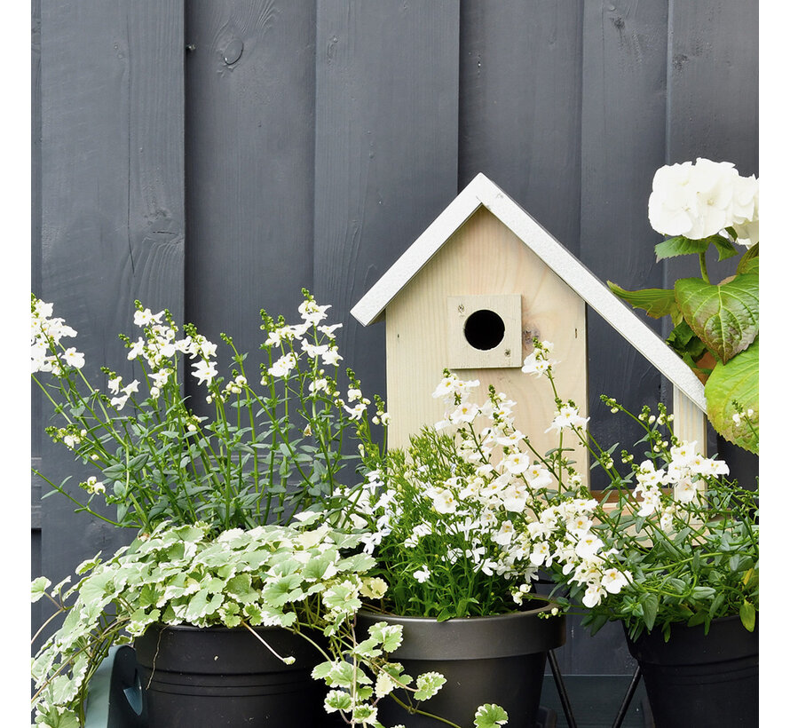 Nestkast Riga - 32 mm