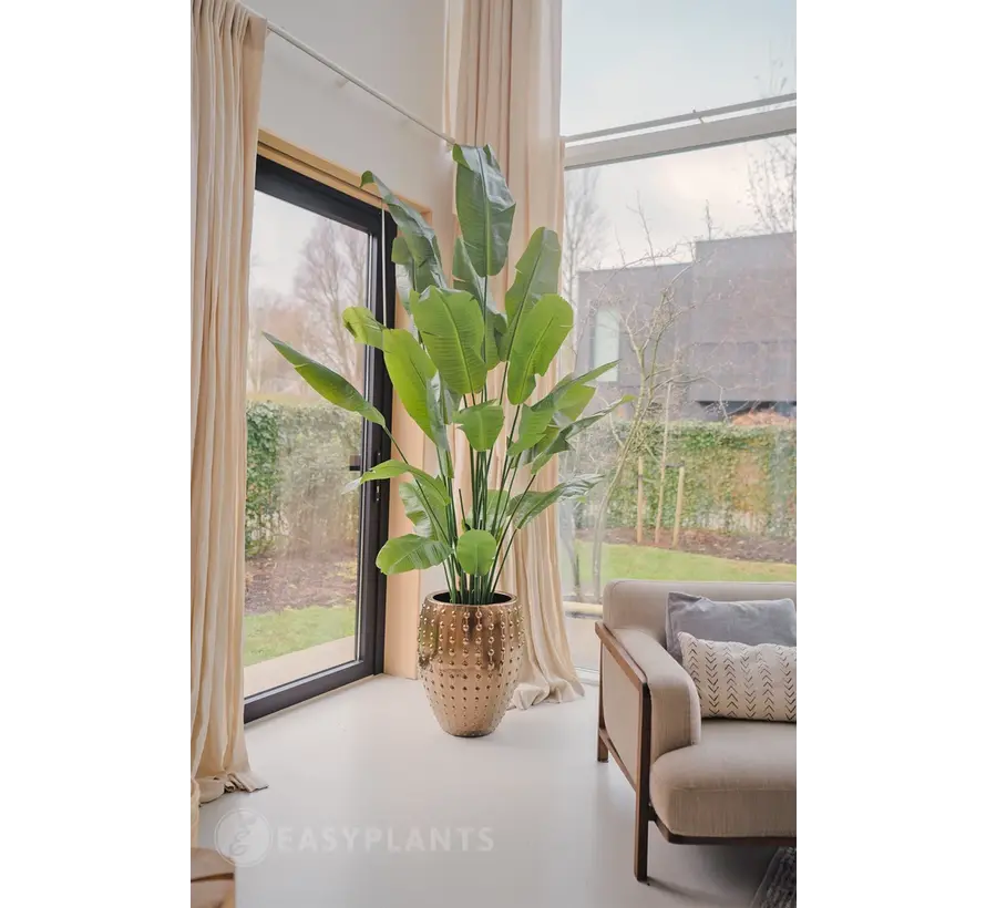 Kunstplant Strelitzia Nicolai - 210 of 240 cm