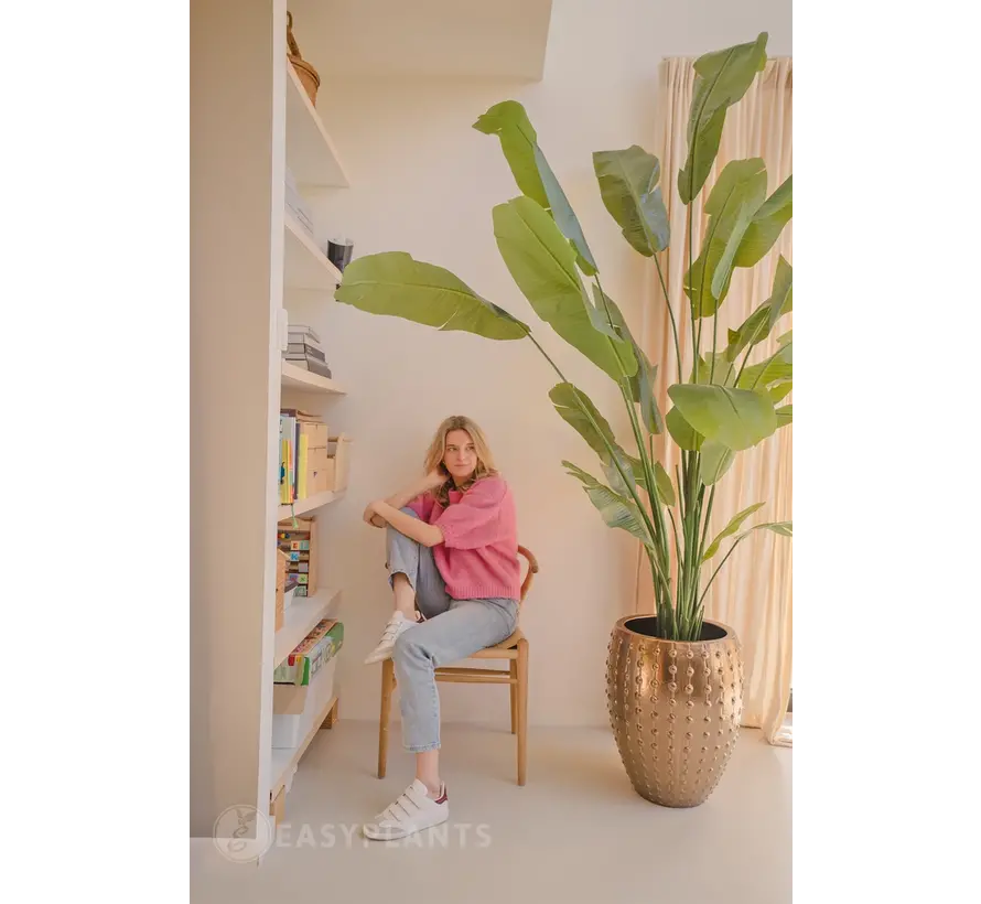 Kunstplant Strelitzia Nicolai - 210 of 240 cm