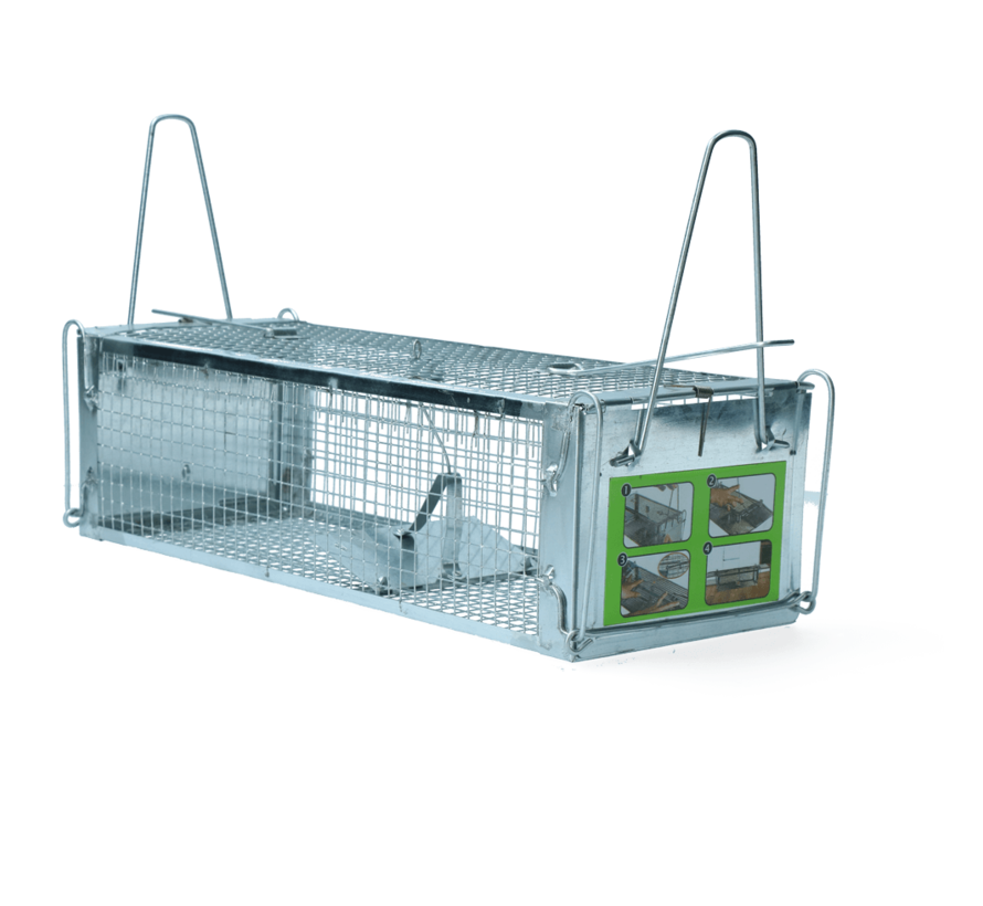 Muizen- en Ratten kooi - Pro - Catch Alive