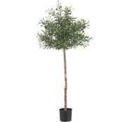 Greenmoods Kunst Olijfboom - 155 cm