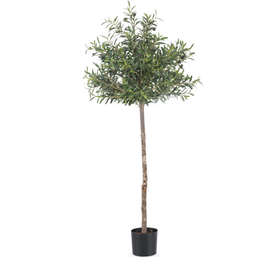 Kunst Olijfboom - 155 cm