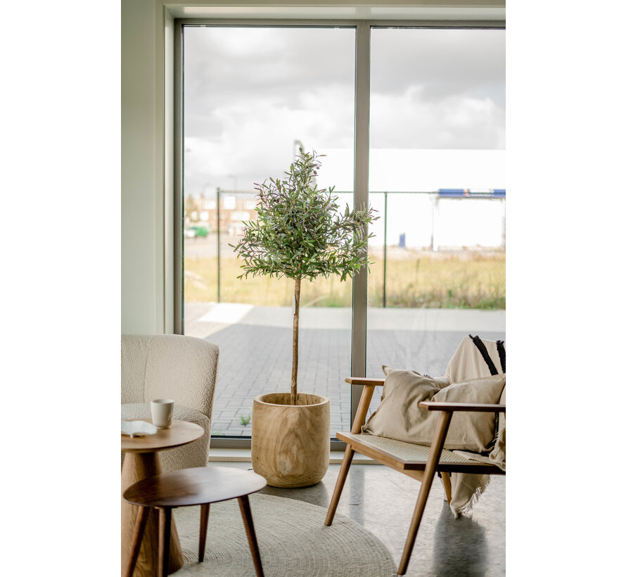 Kunst Olijfboom - 155 cm