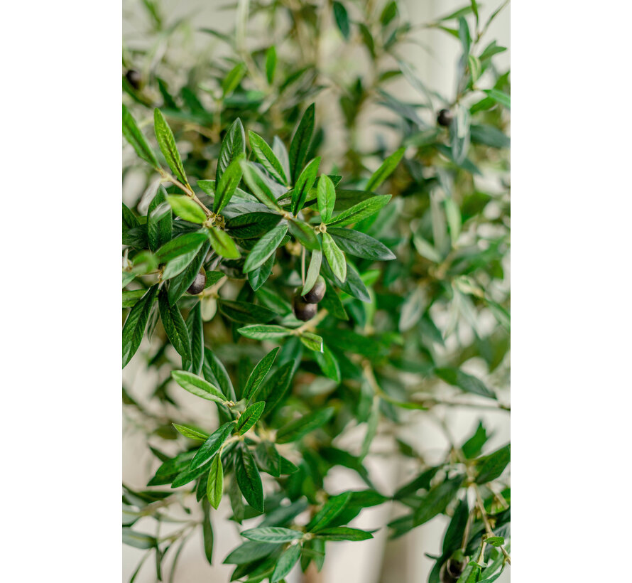 Kunst Olijfboom - 155 cm