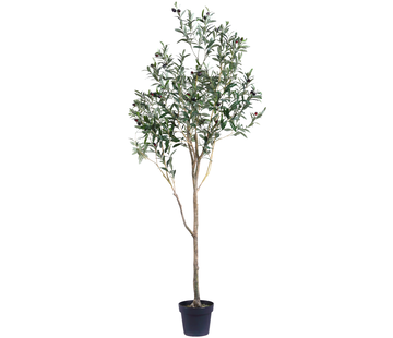 Greenmoods Kunst Olijfboom - 180 cm