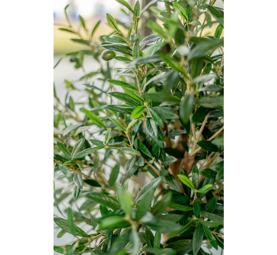 Kunst Olijfboom - 155 cm