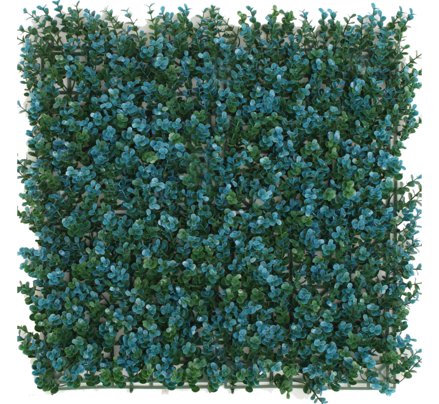 Kunsthaag Buxus UV - 50 x 50 cm - Blauw