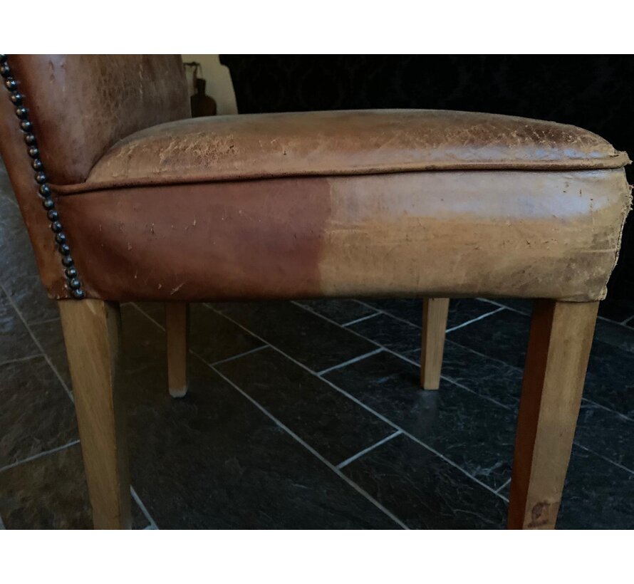 Biologisch leerreiniger - 4 in 1 - 500 ml