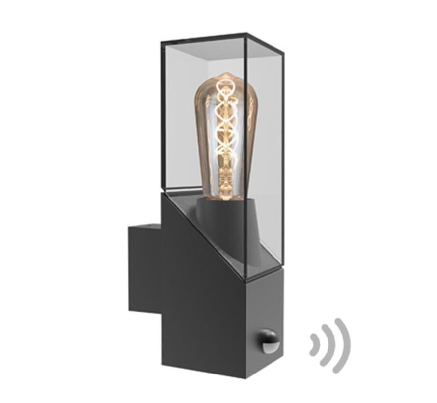 Wandlamp Jasper - Industriële buitenlamp met sensor - Antraciet