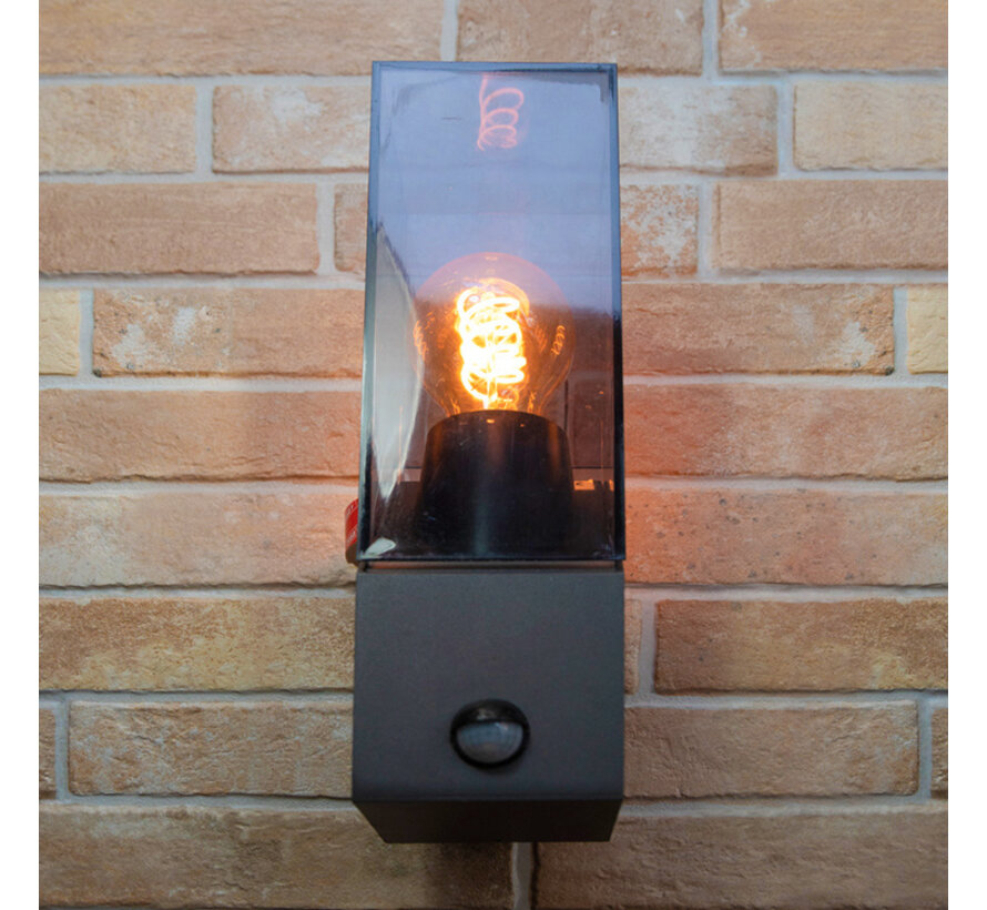 Wandlamp Jasper - Industriële buitenlamp met sensor - Antraciet