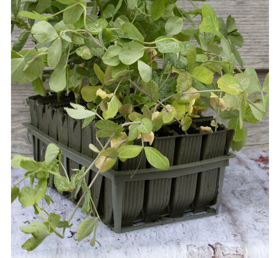 Kweekbak Deep Roottrainer - Zaaibakje - 32 cellen