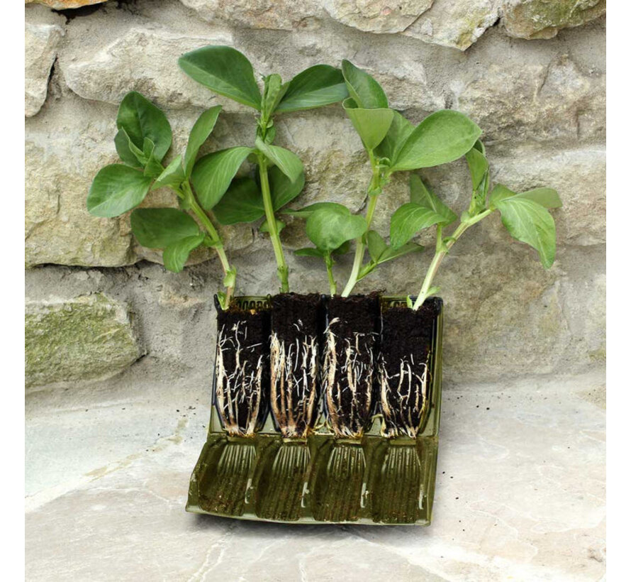 Kweekbak Deep Roottrainer - Zaaibakje - 32 cellen