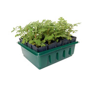 Haxnicks Zaaibakje Roottrainer - Snel en compact - 20 cellen