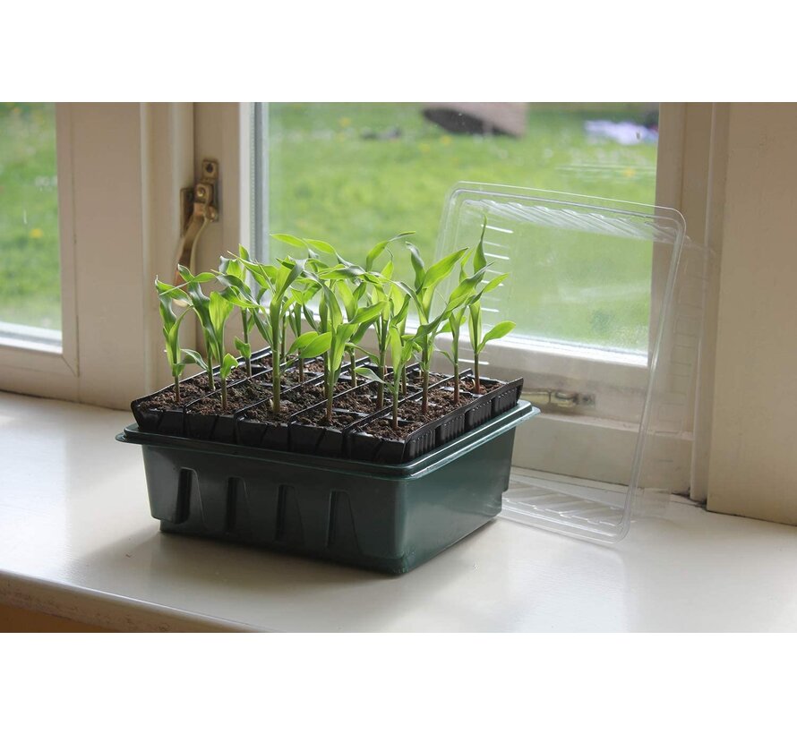 Zaaibakje Roottrainer - Snel en compact - 20 cellen