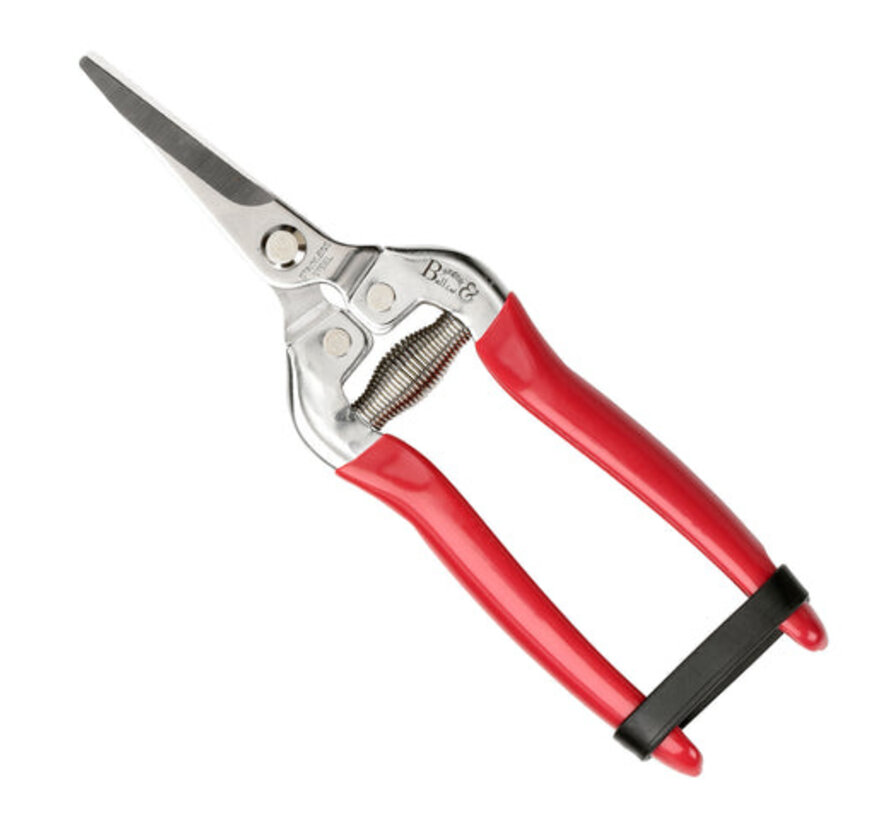 Snoeischaar + Holster - British Bloom