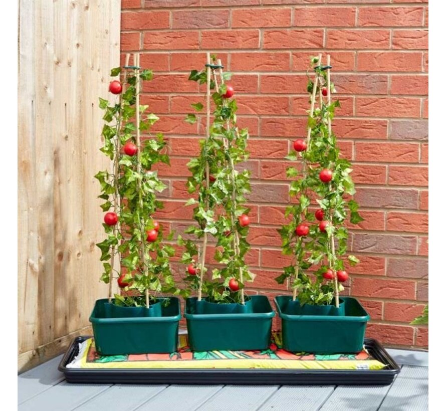 Tomaten kweekpot - 3 stuks - Zelfbewatering