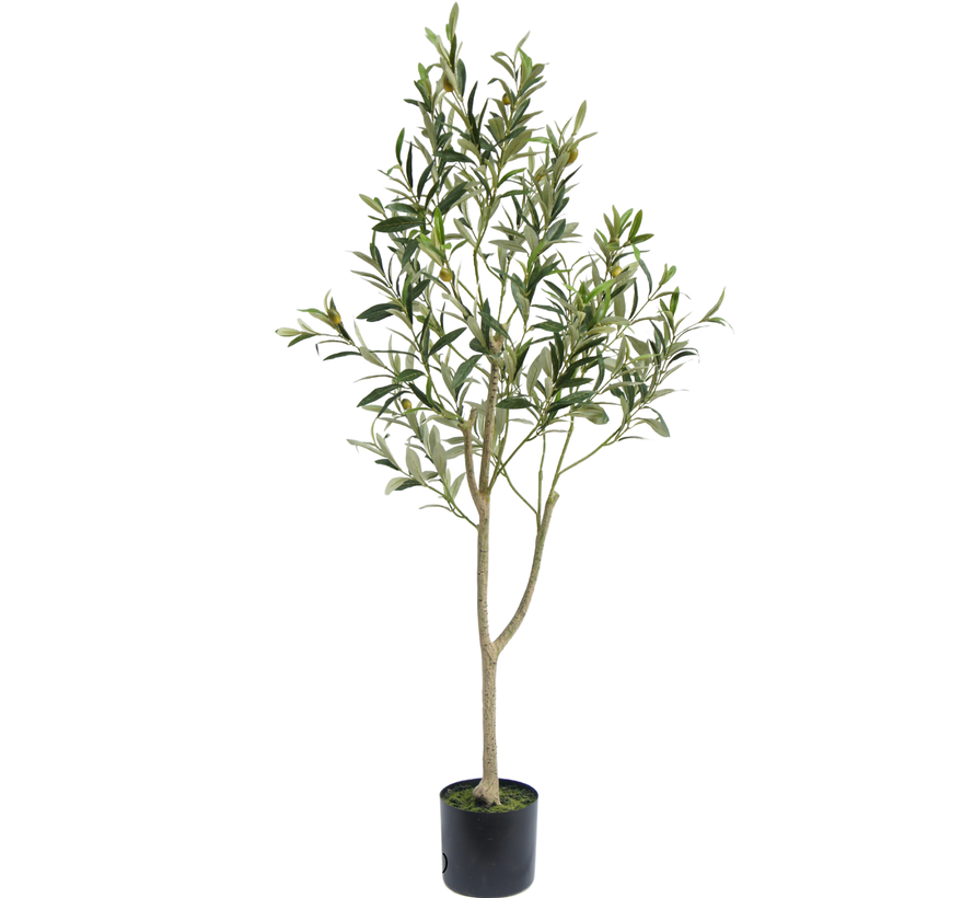 Kunst Olijfboom - 120 cm