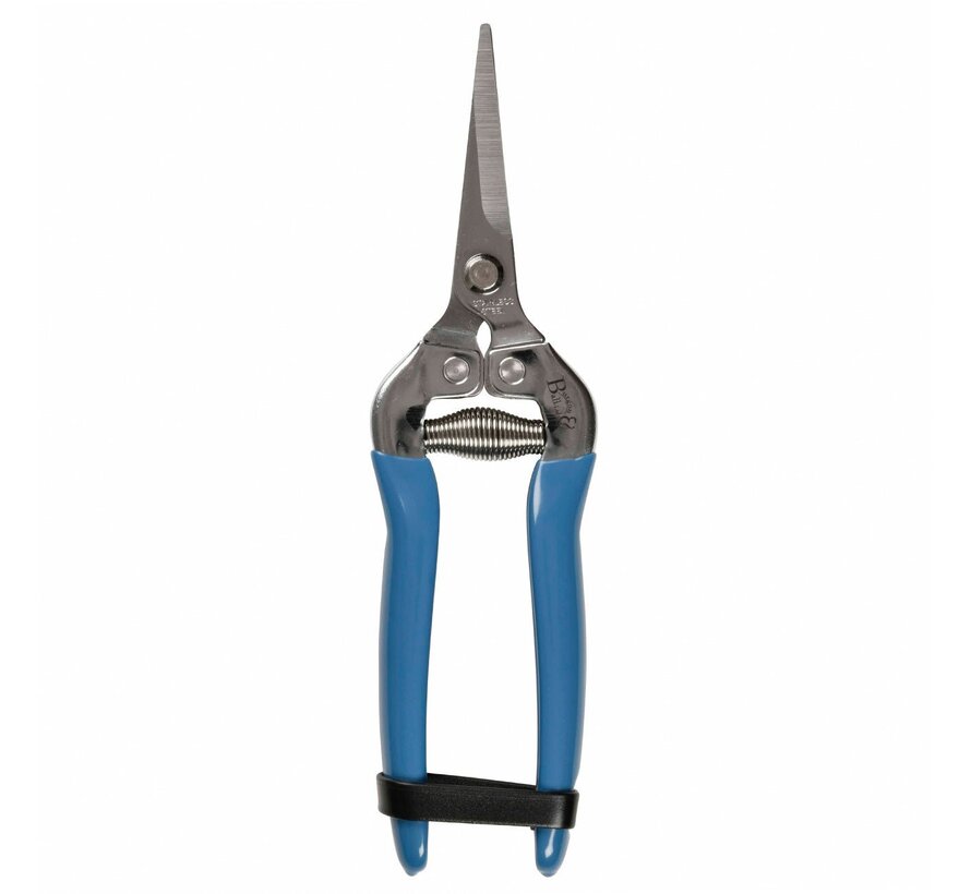 British Meadow Dunschaar - Blauw