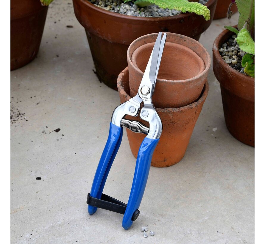 British Meadow Dunschaar - Blauw